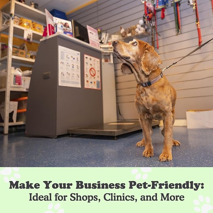 Canine Hitch- Secure Dog Leash Parking Mounted Indoor – Outdoor Wall Hook - Tie Out Stainless Steel Practical Lead Management for Home & Business, Slim Compact 6 Pack