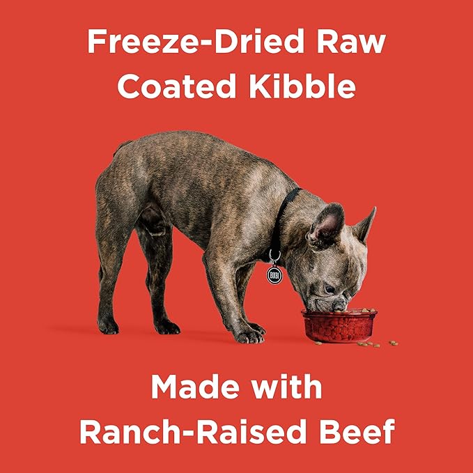 BIXBI Rawbble Dry Dog Food, Beef, 4 lbs - USA Made with No Meat Meals or Fillers - Freeze Dried Raw Coated Dog Food - Industry Leading Digestibility