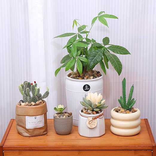 Calofulston 5lb Drainage Rocks for Potted Plants, 1/5 Inch Small Pebbles for Plants, Aquarium, Fish Tank, Terrarium, Succulent, Vases, Decorative Pea Gravel for Plants, Mixed Color