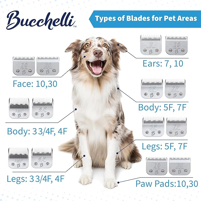 Detachable A Series 5 Blade Dog Grooming Skip Tooth Cuts Length 1/4" - 6.4mm Japanese High Carbon Steel Dog Clippers for Grooming | Detachable Clipper Blade 5 (Compatible A5 Series(B5)