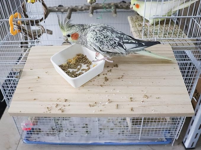 13.6×7.9 Inches Large Bird Perch Stand Platform, Natural Wooden Small Animals Cage Accessories, Rectangle Stand Perch Shelf for Parrot Parakeet Cockatiel Rat Hamster Guinea Pig Conure Chinchillas