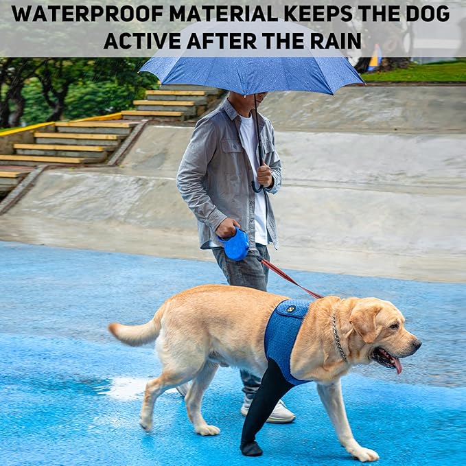 COODEO Dog Socks to Prevent Licking Paws, Healing Boots & Paw Protectors with Non-Slip Bottoms for Wound Protection, Waterproof Sleeve Shoes for Licking（Blue，XL_Right