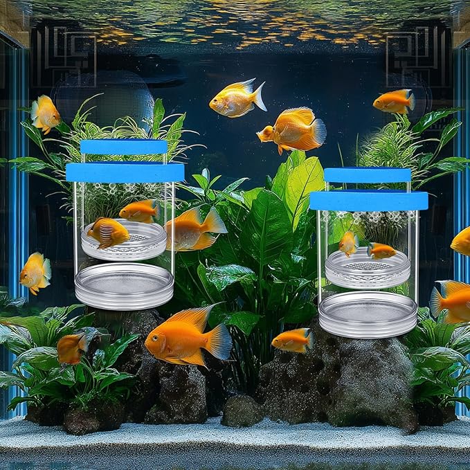 2 Pcs Breeder Box for Fish Tank Aquarium Breeder Separation Net Breeding Box with Suction Cup for Small Fish Shrimp Clownfish Guppy(Blue,L)