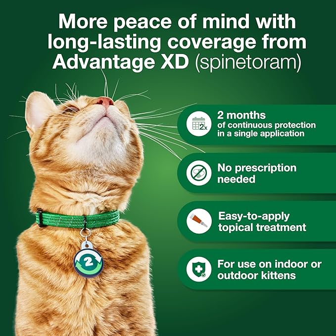Advantage XD Small Cat Flea Prevention & Treatment For Cats 1.8-9lbs. | 2-Topical Doses, 2-Months of Protection Per Dose