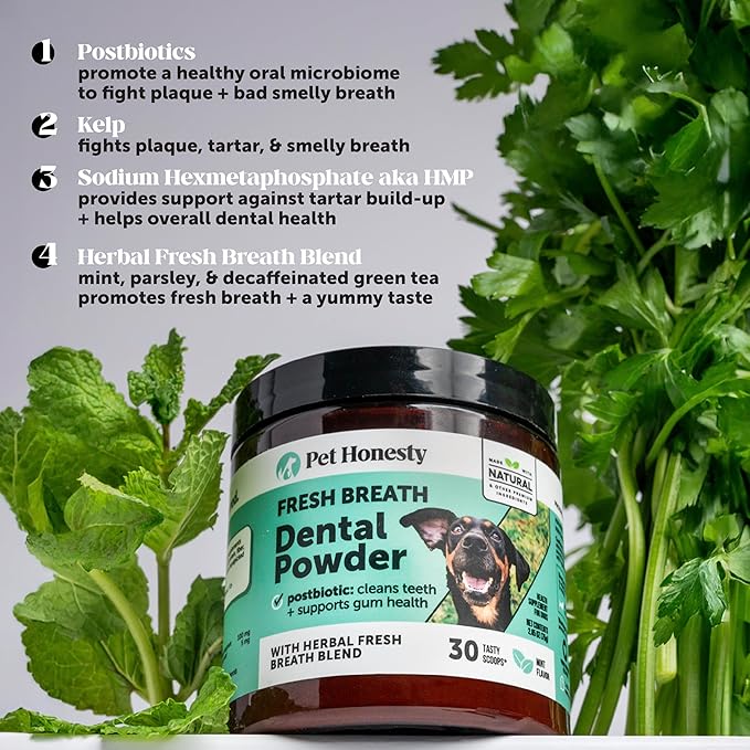 Dog Breath Freshener Dental Powder for Teeth Cleaning Plaque Off, Dental Care for Large Dogs, Tartar Remover for Teeth with Natural Herbal Blend + Postbiotics (Mint - 60 Servings)