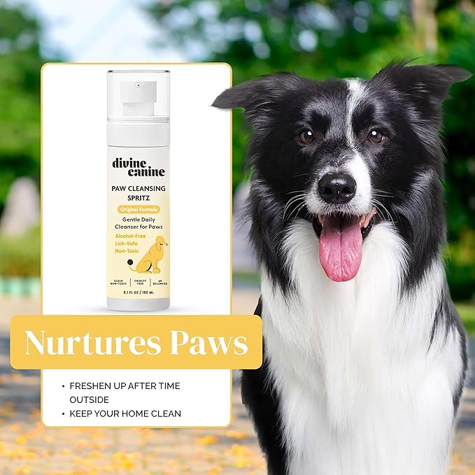 Dog Paw Cleaner - 5.1 Fl Oz of Alcohol Free Paw Cleansing Spray - Made with Aloe, Copaiba Oil, and Lemongrass Oil to Nourish and Clean Paws - Made in The USA