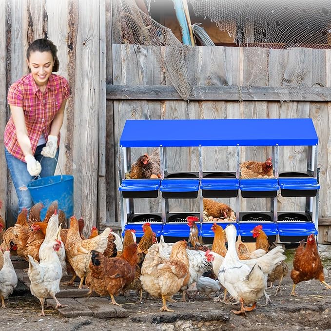 Chicken Nesting Box, 10 Hole 2 Layer Hen Nest Boxes with Legs, Roll Away Eggs Laying Boxes,Cleanable Pull Out Hen Roosting Boxes