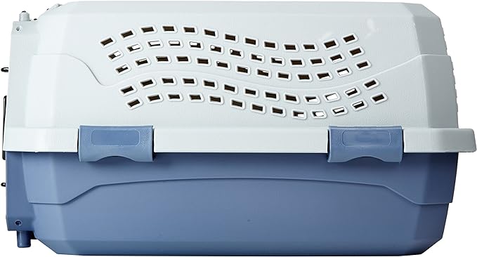 Amazon Basics 2-Door Top-Load Hard-Sided Cat Pet Travel Carrier, 19.0" L x 12.6" W x 10.0" H, Gray & Blue