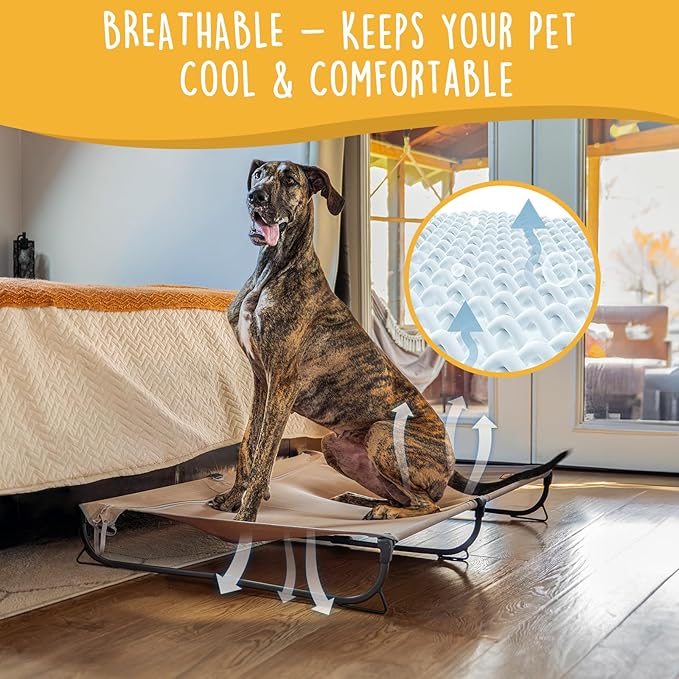 Daisy Cot, XL Foldable Elevated Dog Bed, Portable Raised Outdoor Folding Dog Cot, Cooling, Chew Proof, Waterproof, Heavy Duty Up to 160 lbs for Camping/Home, Brown, 49"x 33"x7"