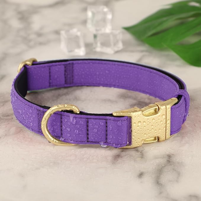 Didog Soft Padded Dog Collars for Medium Dogs, Colorful and Durable Dog Collar with Quick Release Buckle, Light and Breathable for Daily Walking, Purple, M