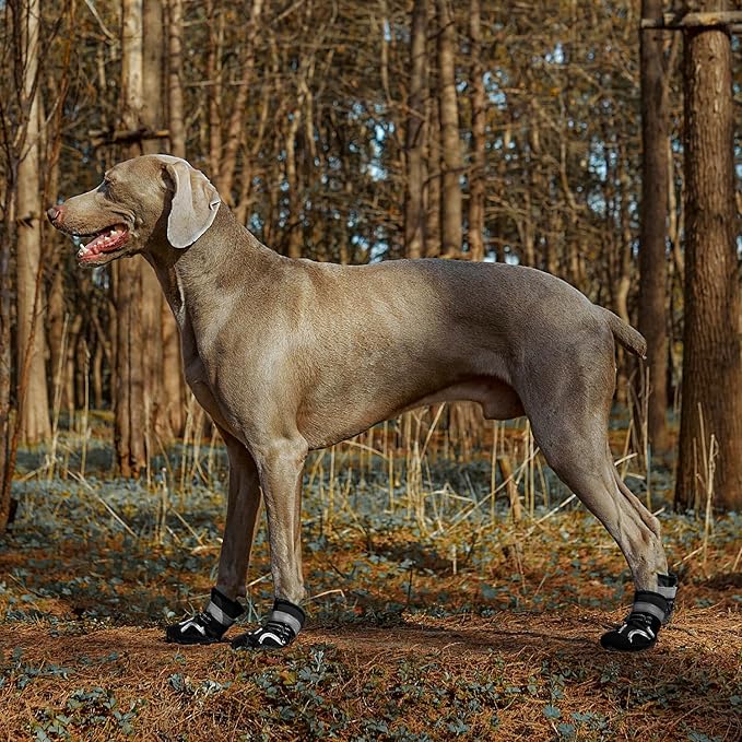 Dog Shoes, Waterproof Dog Boots & Paw Protectors with Anti-Slip Sole, 4pcs/Set Pet Dog Booties, Reflective Dog Shoes for Small Medium Large, Winter Snowy Summer Hot Pavement (Black, 2# (2XS))