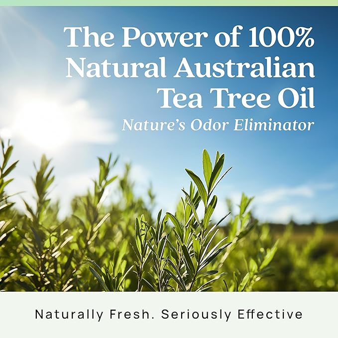 Azuna Air Freshener & Odor Eliminator for Strong Odor | 4 Room Kit Includes (4) 8 oz. Empty Luxe Glass Jars & 24oz Gel | Refill with Tea Tree Essential Oil | Natural Scent | Last 60-90 Days