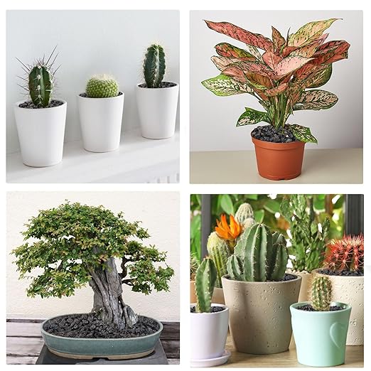 5 lbs Pebbles for Indoor Plants, Succulent, Cactus, 1/5 Inch Small Lava Rock for Plants Drainage, Natural Horticultural Volcanic Rock, Top-Dressing