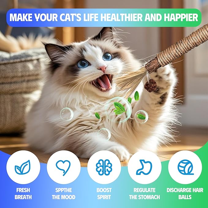Cat Toys Chew Rope & Silvervine Sticks for Bored Indoor Adult Cats, 2Pcs Interactive Catnip Toys for Cats with Refillable Natural Catnip Bag for Teeth Cleaning
