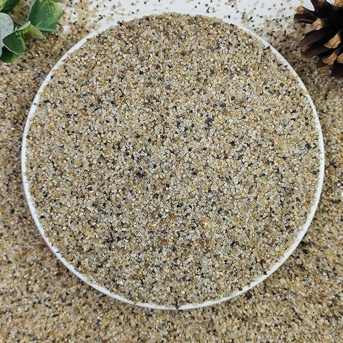 10lbs Aquarium Gravel, 1/16"(0.6-1.2mm) Natural River Rocks Succulent Cactus Pea Gravel for Plants, Fish Tank, Decorative Pebbles for Gardening, Flower Pots, Vase Fillers, Landscaping