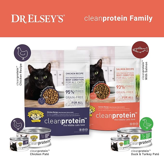 Dr. Elsey'S Cleanprotein Salmon Formula Dry Cat Food, 2 Pound (Pack of 1)