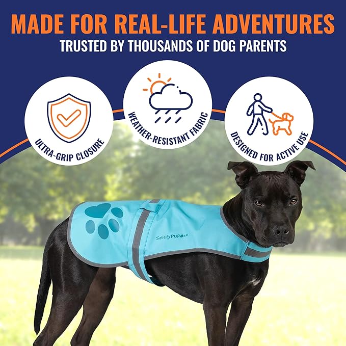 Dog Reflective Vest – Hi-Vis Fluorescent Visibility That Helps to Safeguard Your Pet On/Off Leash in Urban & Rural Areas (Teal, Large)