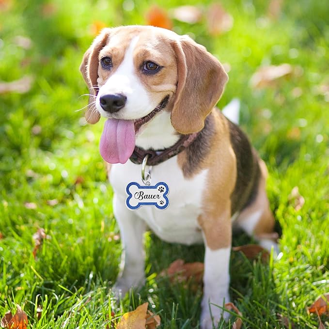 Dog Tags Personalized for Pets Dog Name Tags Personalized Dog Tag Engraved with Any Name & Text Custom Dog ID Tags Glitter Bone ID Tag for Puppy Cat (Blue S, Bone)