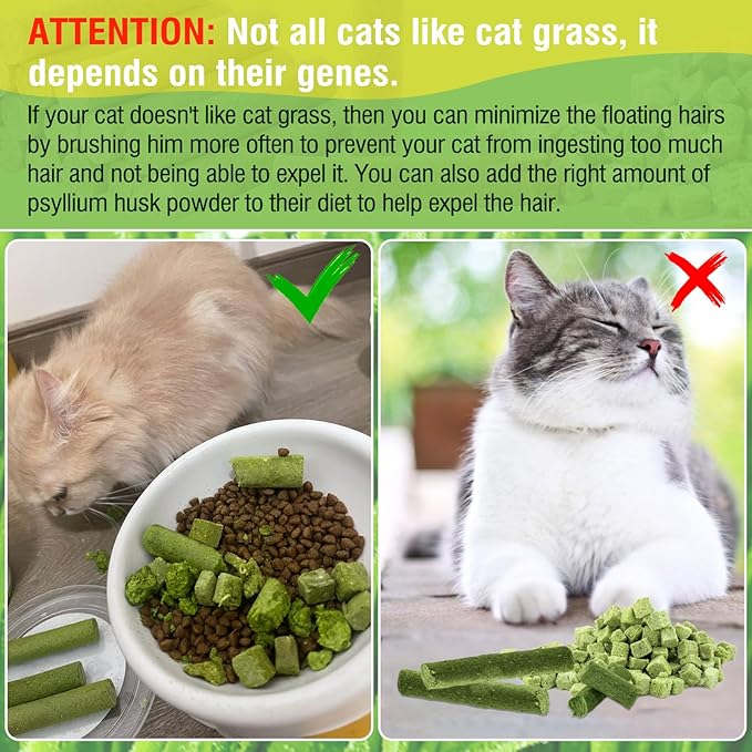 225g Cat Grass Teething Stick, Delicious Cat Treat Snack Edible Cat Chew Toy for Teeth Cleaning and Hairball Removal in Cats