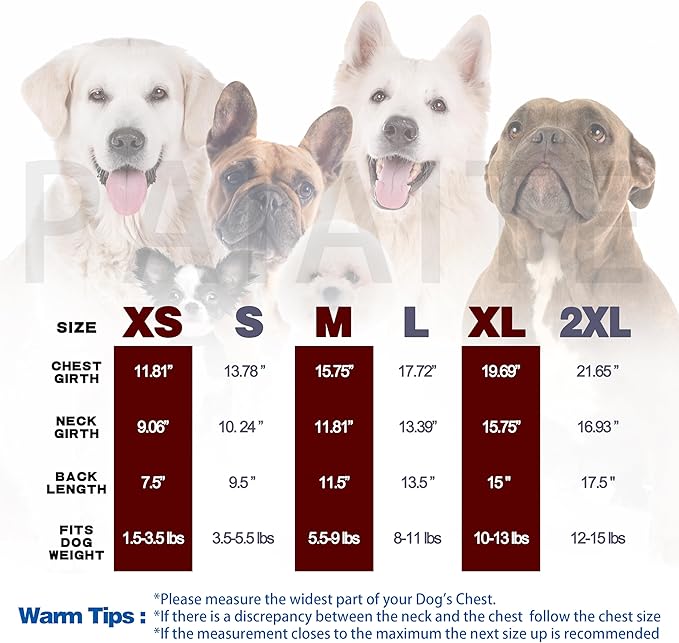 Comprehensive Post-Surgery Dog Recovery Suit: Premium Cotton Protective Wound Care Shirt for Puppies, Cats, and Small Pets - Ensuring Ultimate Comfort, Unrestricted Mobility M