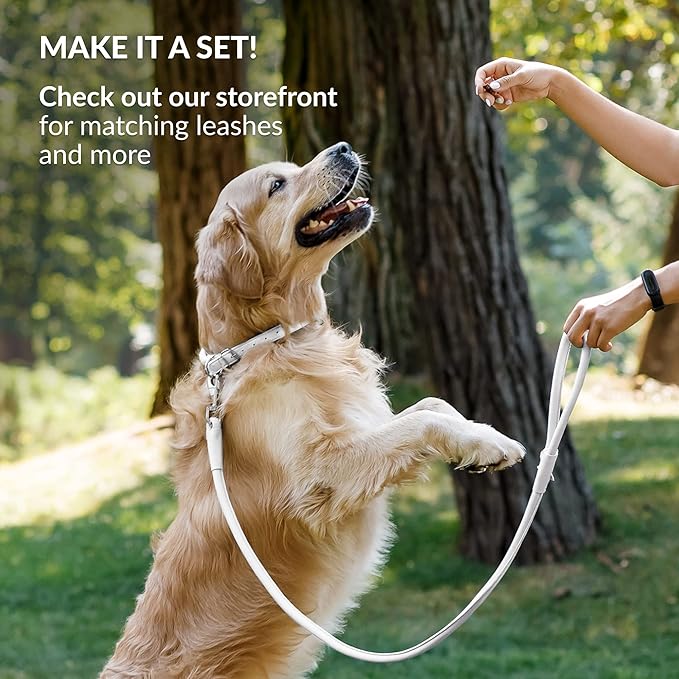 CollarDirect Rolled Leather Dog Collar, Soft Padded Round Puppy Collar, Handmade Genuine Leather Collar Dog Small Large Cat Collars 13 Colors (13-16 Inch, White Smooth)