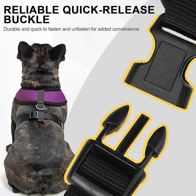 BINGPET Dog Vest Harness -Light Weight Breathable Sports Mesh - Pet Adjustable Harness Puppy Padded Harnesses Dog Vest Harness for Small Dogs