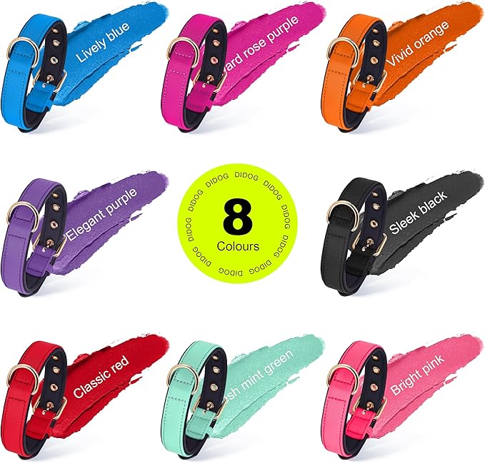 Didog Soft Padded Dog Collars for Small Dogs, Lightweight and Breathable Dog Collar with Metal Buckle for Puppy, Green, S