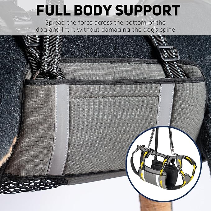 COODEO Mobility Dog Lift Harness, Emergency Carry Sling, Pet Rear Leg Support Rehabilitation Lifts Vest, Dog Carrier for Senior Dogs Joint Injuries, Arthritis (Orange, XL)