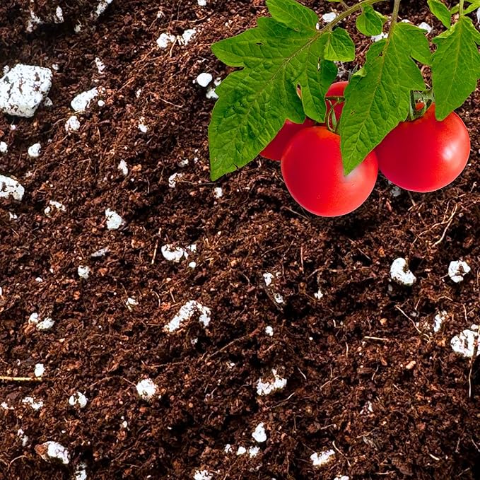 Coco Perlite - Coco Coir Perlite Mix - 70/30 Growing Media - Hydroponic, Indoor & Outdoor, Grow Bags & House Plants (15 quarts - 0.5 cu ft)