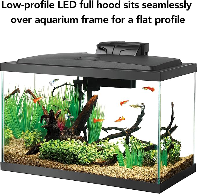 Aqueon Aquarium Fish Tank Starter Kit with LED Lighting 10 Gallon Fish Tank