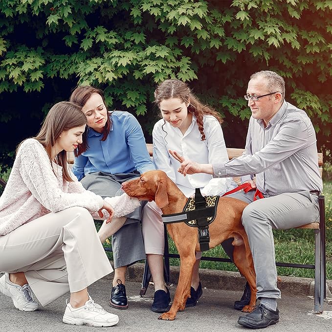 Dogline Dog Harness, Reflective No-Pull Adjustable Vest with Handle for Walking, Training, Breathable, No - Choke Harness for Small, Medium or Large Dogs Room for Patches Leopard Brown L 27"-34"