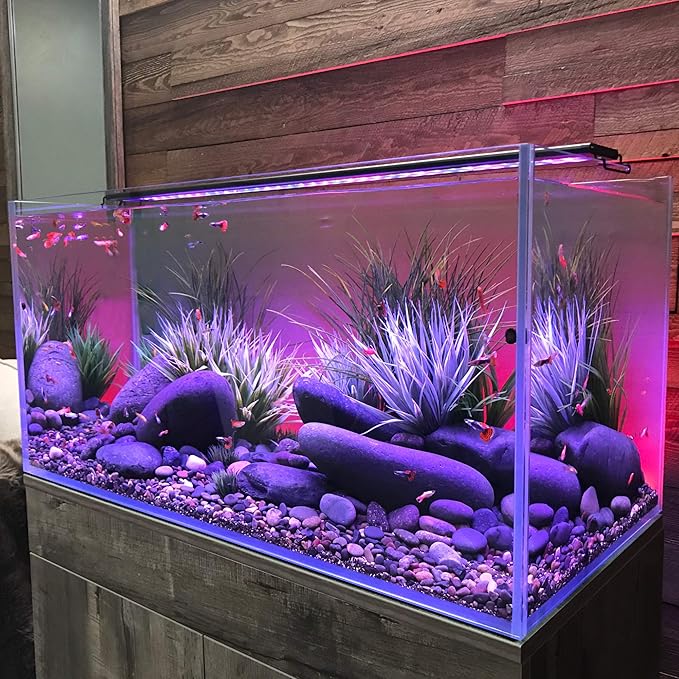CURRENT USA 24-36" Inch Serene Aquarium Visual and Audio Aquatic Experience Kit with LED Aquarium Light, LED Background Light, Frosted Background Film & Speaker for Fish Tank (4025)