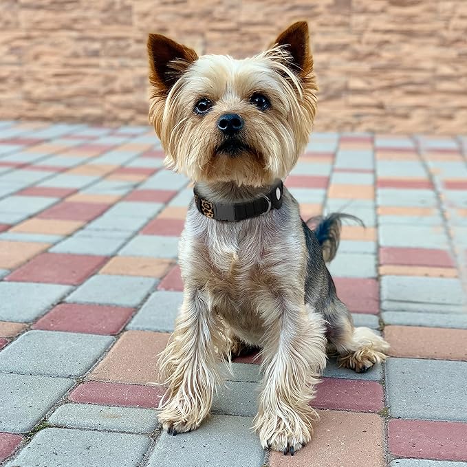 AirTag Dog Collar for Small Medium Large Breed - Adjustable Cute Pattern Dog Collar with Airtag Holder - Soft Leather Tracker GPS Apple Air Tag Pet Collars (Large, 17"-21" Neck Fit, Leopard)