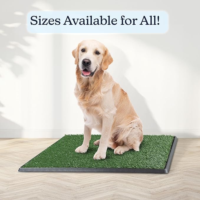 Artificial Grass Puppy Pee Pad for Dogs and Small Pets - 20x30 Reusable 3-Layer Potty Training Pad with Tray - Dog House and Pet Supplies by PETMAKER