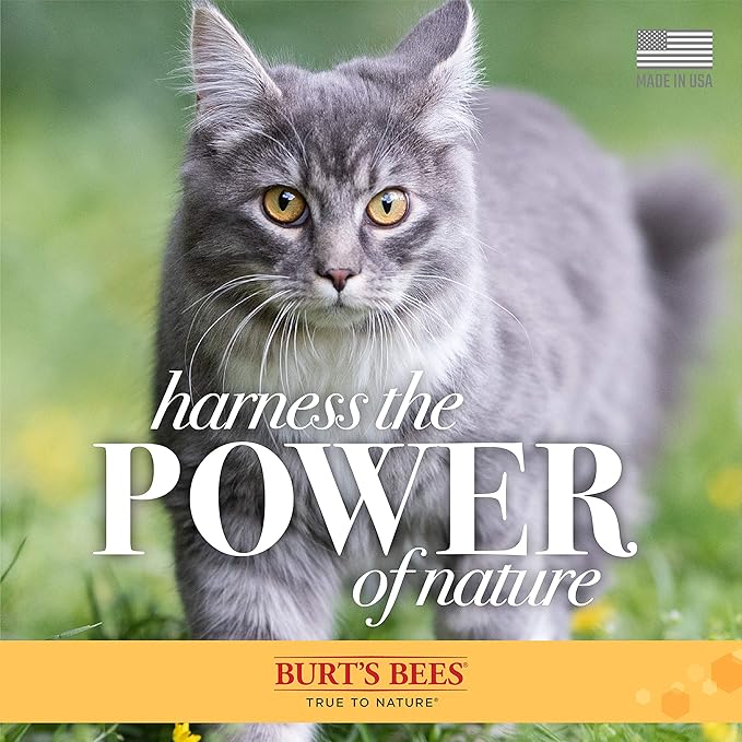 Burt's Bees for Pets Waterless Cat Grooming Spray with Shea Butter and Honey, 99.3% Natural Origin Formulas, Cats Dry Shampoo, Kitten Supplies, 6pk, 10oz
