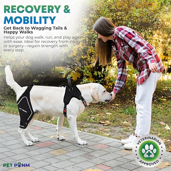 Dog ACL Knee Brace for Back Left Leg - with Integrated Harness - for Cruciate Ligament Injuries, Patellar Luxation, Post-Surgery Recovery. Durable, Breathable Material, Eases Pain - (Small)