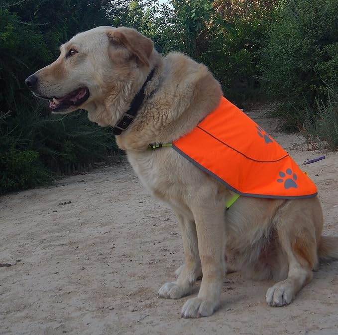 Dog Reflective Vest - Comfortable Jacket Safety Hunting, High Visibility for Dogs with Elastic Straps and Clasp Closure-Orange, Medium