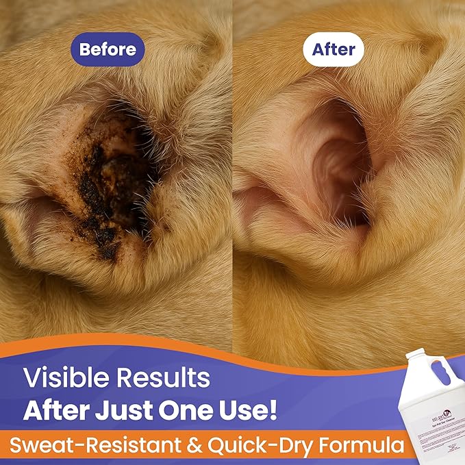 Dog & Cat Ear Cleaner Solution with Aloe Vera & Tea Tree Oil – Removes Itchy Ear Wax, Debris, Odor – Ears Wash, Drops & Flush for Pets, Dog Ears Cleaning, Cat Cleaner, 16 oz- 2 Gallons