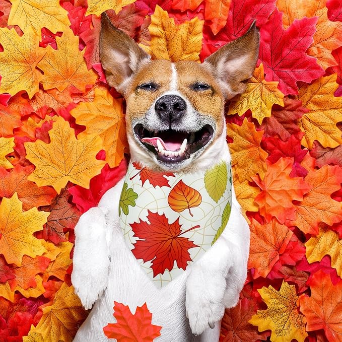 Abbylike 50 Pcs Fall Dog Bandana Bulk Maple Leaves Bandana for Dogs Triangle Kerchief Bibs Scarf for Small Medium Large Pet Autumn Thanksgiving Costume Accessories, 25 Styles (25.6 x 17.7 x 17.7 Inch)
