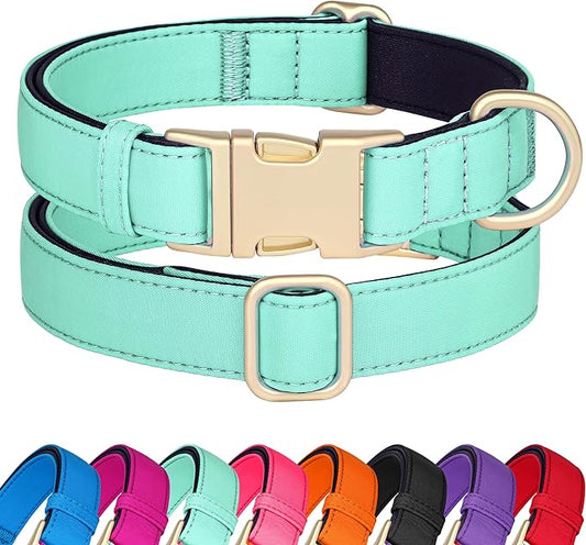 Didog Soft Padded Dog Collar for Large Dogs, Colorful and Durable Pet Collar with Quick Release Buckle, Light and Breathable for Daily Walking, Green, L